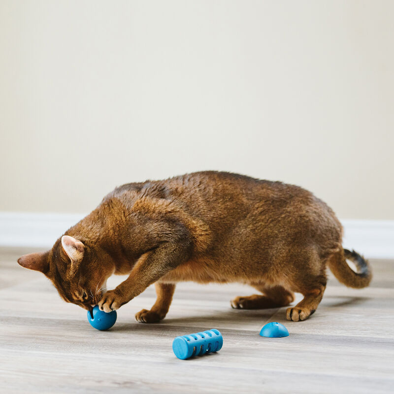 BeOneBreed, OBEE! Cat Toy Trio, 3 Pk image number null